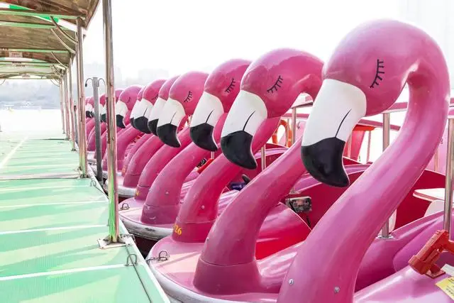 泛舟湖上,邂逅春天!紫竹院公园游船明日开航